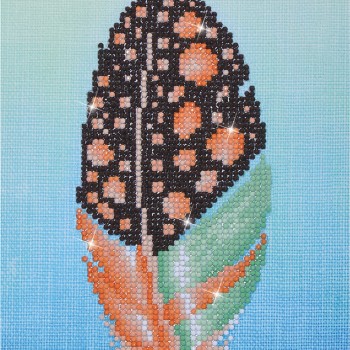 DD3.009 - Softly Sparkle