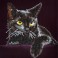 DD5.001 - Midnight Cat