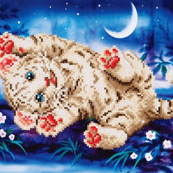 DD5.005 - Baby Tiger Roly Poly