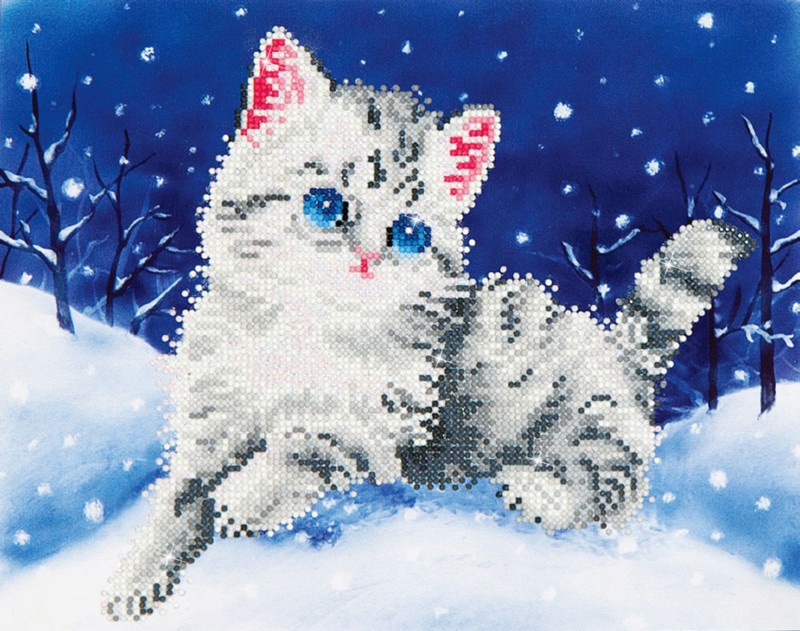 DD5.006 - Kitten in the Snow