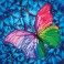 DD5.015 - Flutter by Pink