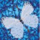 DD5.021 - Flutterby White