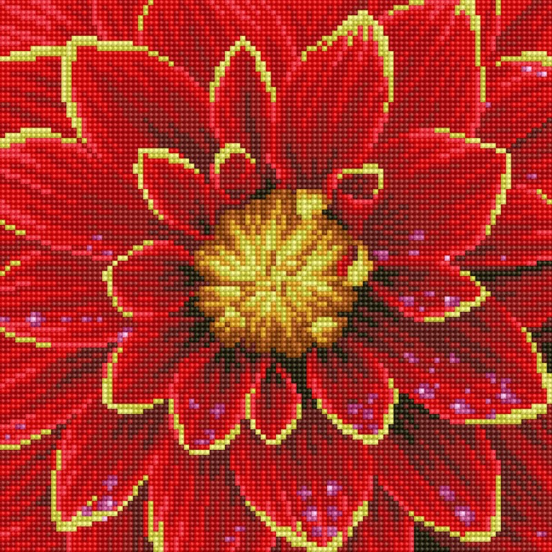 DD5.037 - Dahlia