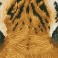 DD5.041 - Tiger Spy
