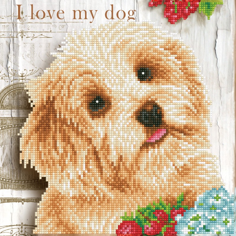 DD5.049 - I Love my Dog