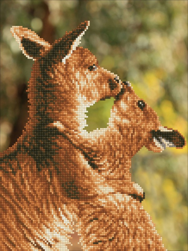 DD6.001 - Kissing Kangas