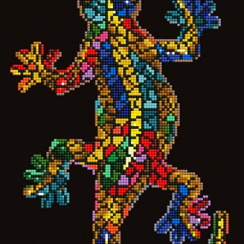 DD6.002 - Gekko Paua