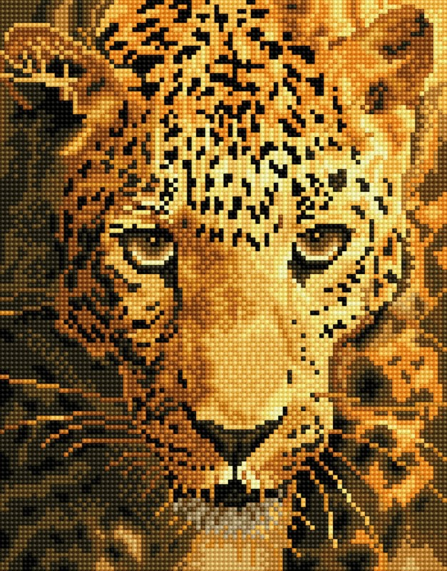 DD6.005 - Jaguar Prowl