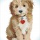 DD6.007 - Lovely Boy