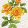 DD6.008 - Yellow Rose Bouquet