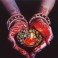 DD7.001 - Peaceful Offering