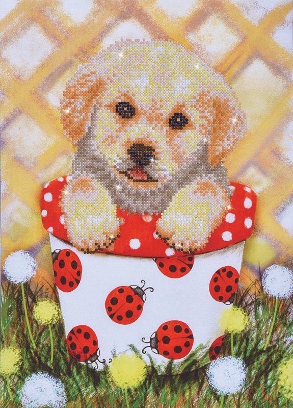 DD7.013 - Pup in Pot