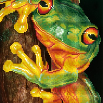 DD7.031 - Green Tree Frog