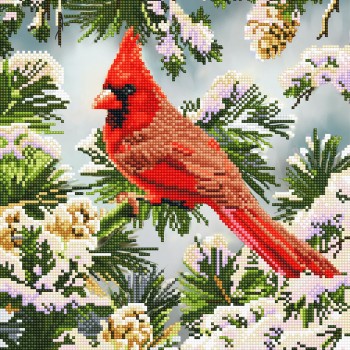 DD7.034 - Good Fortune Cardinal