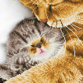 DD7.037 - Tender Moment