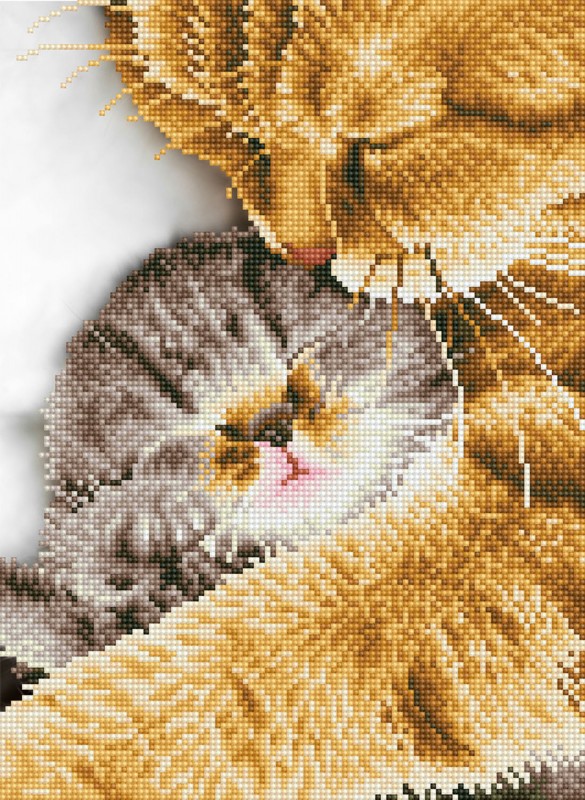 DD7.037 - Tender Moment