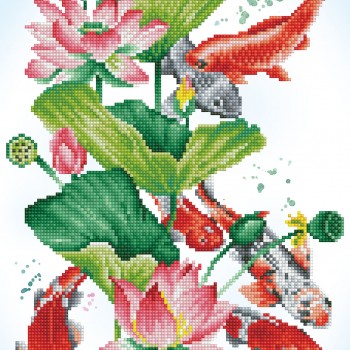 DD7.045 - Koi Portrait