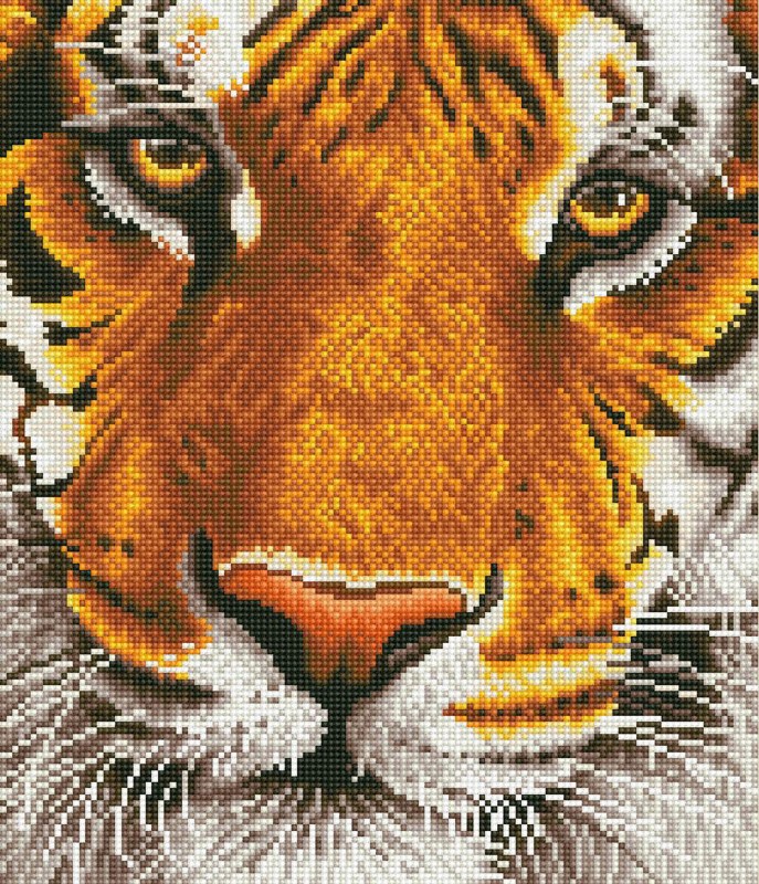 DD8.001 - Bengal Magic