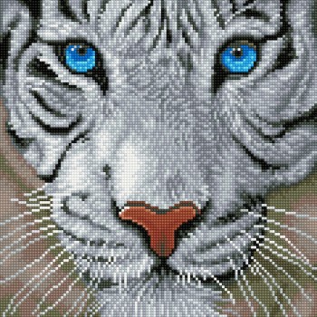 DD8.016 - White Magic