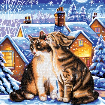 DD9.012 - Stars & Whiskers