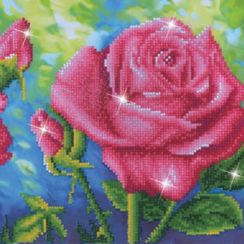 DD9.014 - Les Roses du Jardin