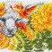 DD9.033 - Fern Fox
