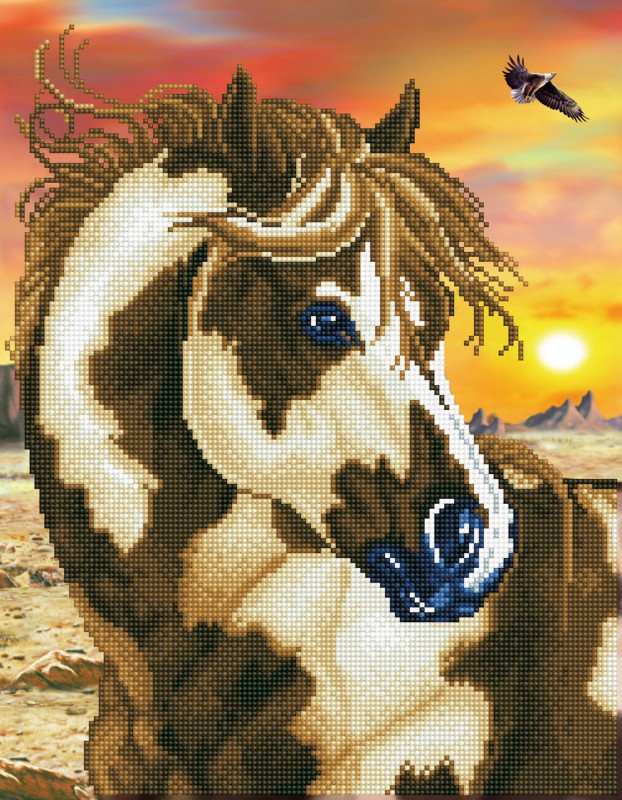 DD9.035 - Wild & Free