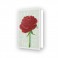 DDG.017 - Greeting Card LOVE ROSE