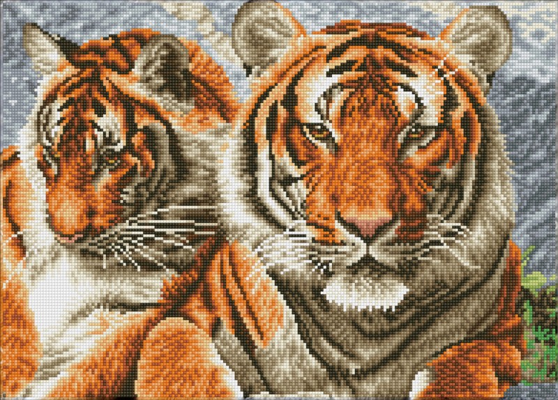 Tigers Tigers