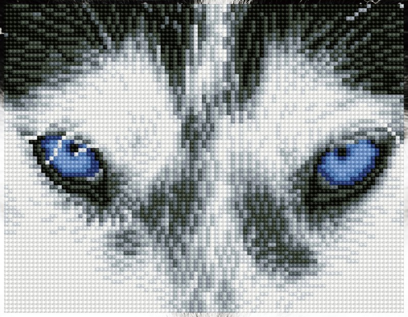 Mystic Husky Mystic Husky