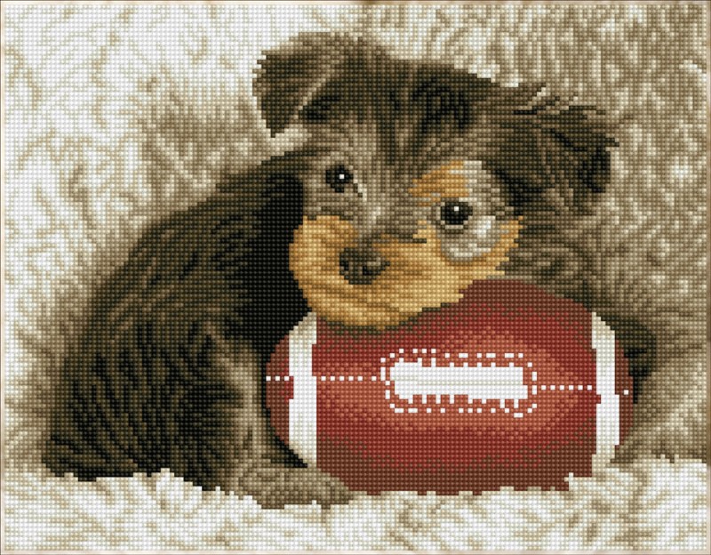 Footy Pup Footy Pup