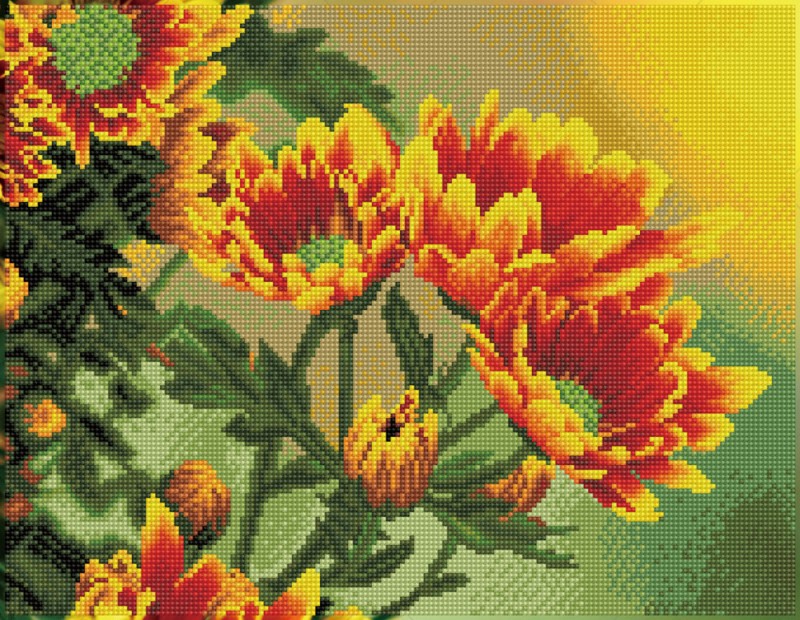 Field Daisies