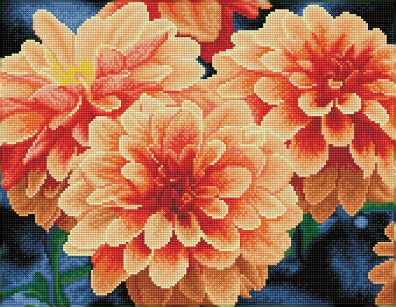 Peach Dahlias