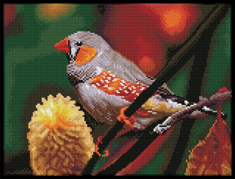 Gouldian Finch - Pre-Framed Kit Gouldian Finch - Pre-Framed Kit