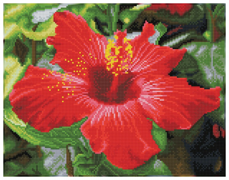 Hibiscus in bloom - Pre-Framed Kit Hibiscus in bloom - Pre-Framed Kit