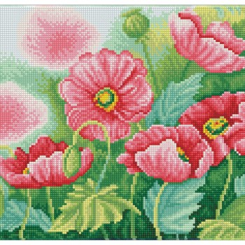 Watercolour Poppies - Pre-Framed Kit