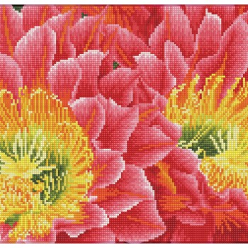 Desert Blooms - Pre-Framed Kit