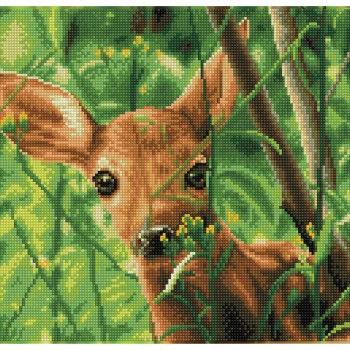 Forest Babe - Pre-Framed Kit