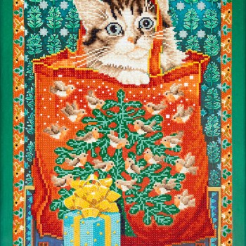 Manuel in the Christmas Robin Bag