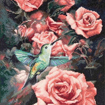 Roses & Hummingbird