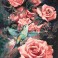 Roses & Hummingbird