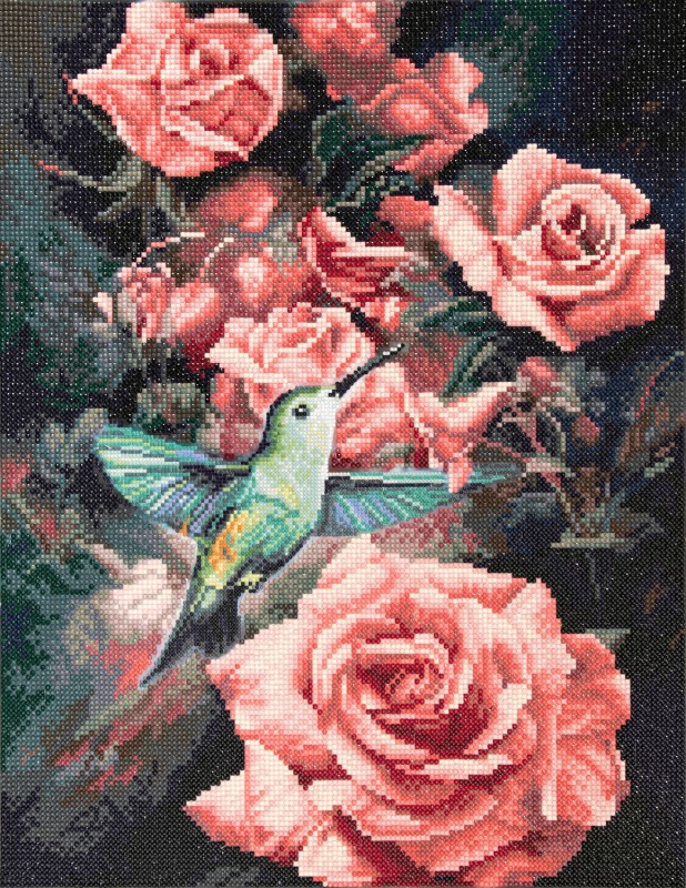 Roses & Hummingbird Roses & Hummingbird
