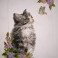 Curious Kitten