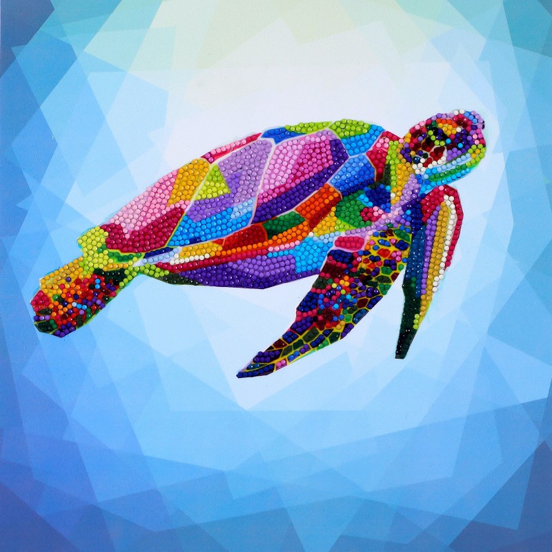 Colorful Turtle Colorful Turtle