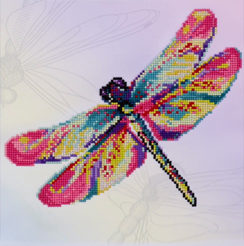 Dragon Fly Glissen Dragon Fly Glissen