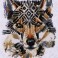 Dreamtime Wolf
