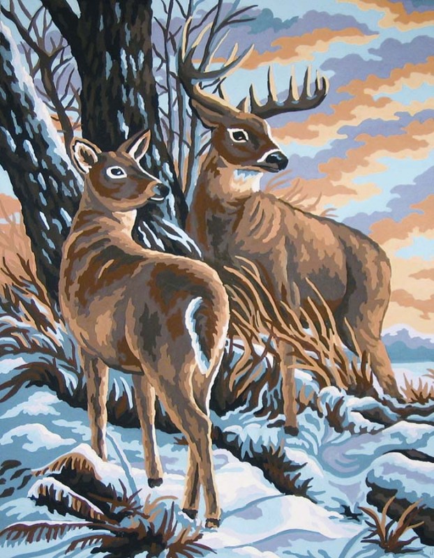 10419 - Stag and Doe 10419 - Stag and Doe