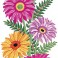 8022 - Gerberas