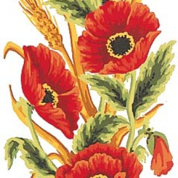 8021 - Poppies and Wheat