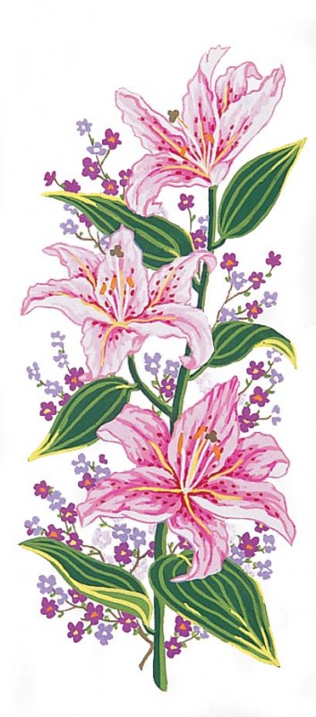 8019 - Pink Lillies 8019 - Pink Lillies